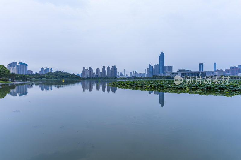 武汉汉阳月湖风景区风光