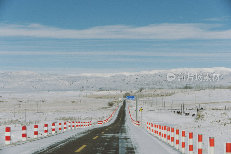 雪 雪路 新疆