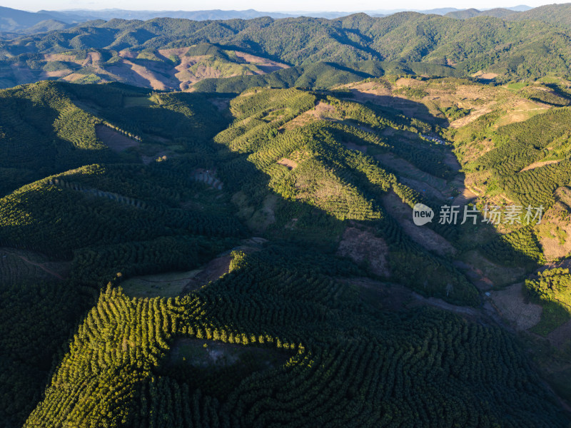 航拍视角下的大片绿色山林山脉全景