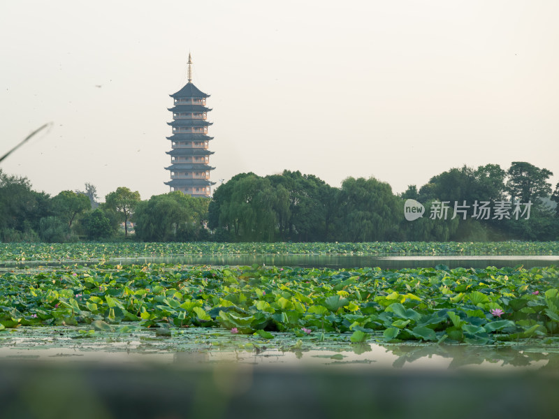 江苏扬州市江都开元寺药师宝塔建筑