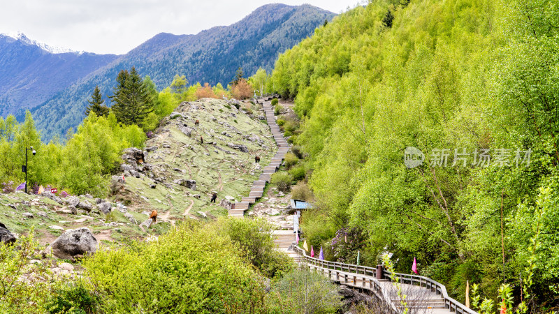 四川阿坝四姑娘山海子沟景区的徒步栈道