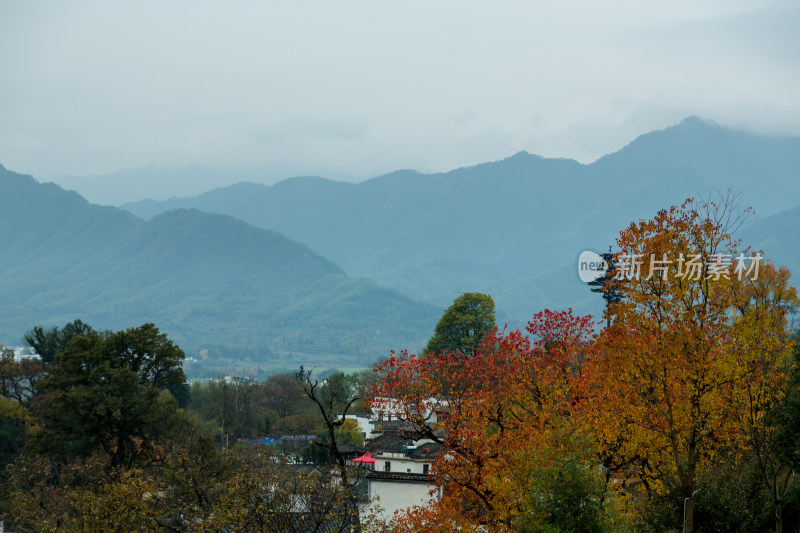 山谷的深秋