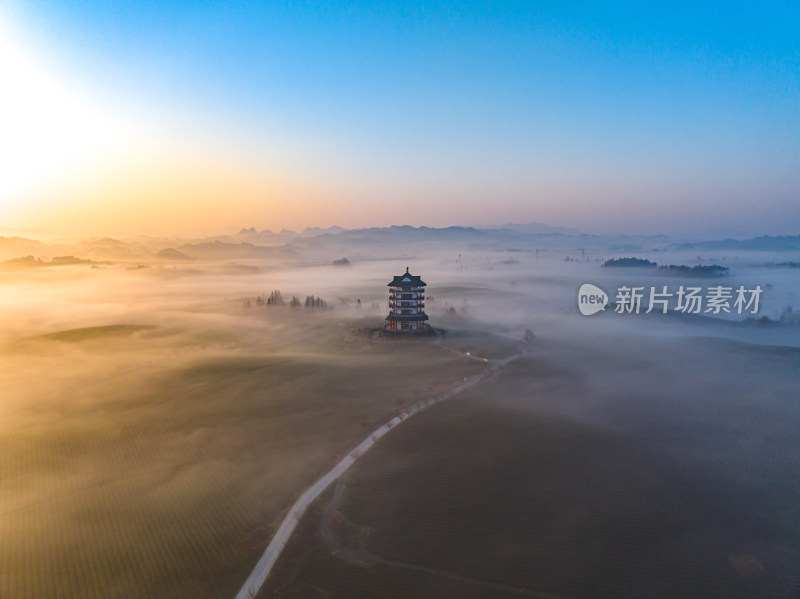 贵州遵义湄潭茶海