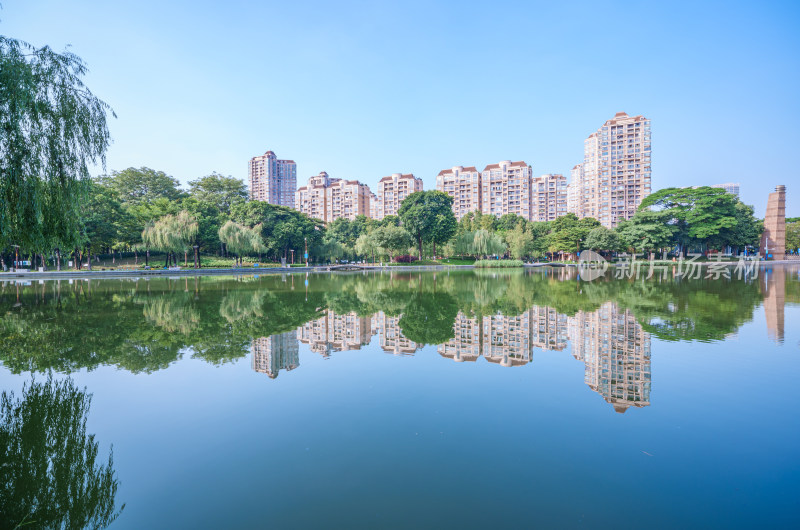 佛山千灯湖南海活水公园落羽杉与城市建筑