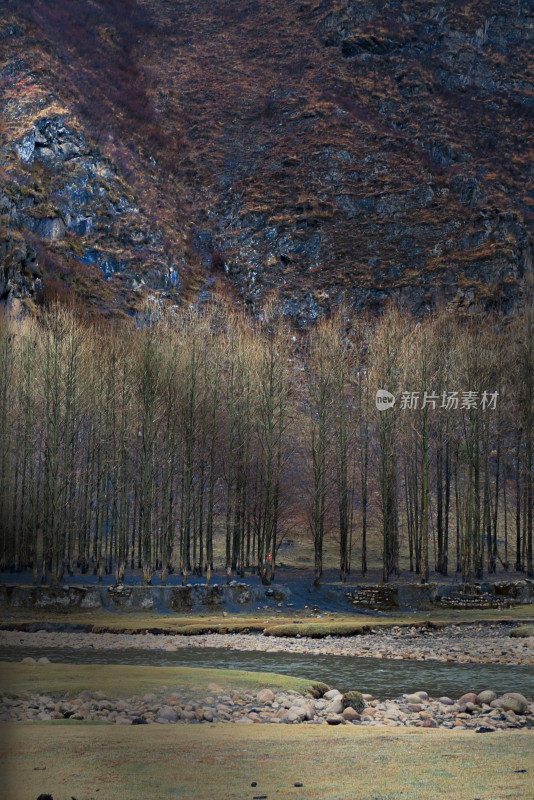 山脚下树林与河流风景