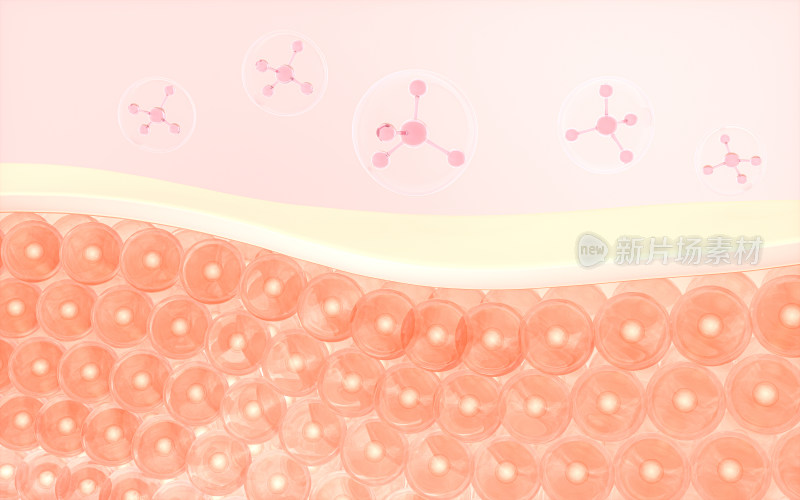 皮肤细胞与吸收的分子 3D渲染