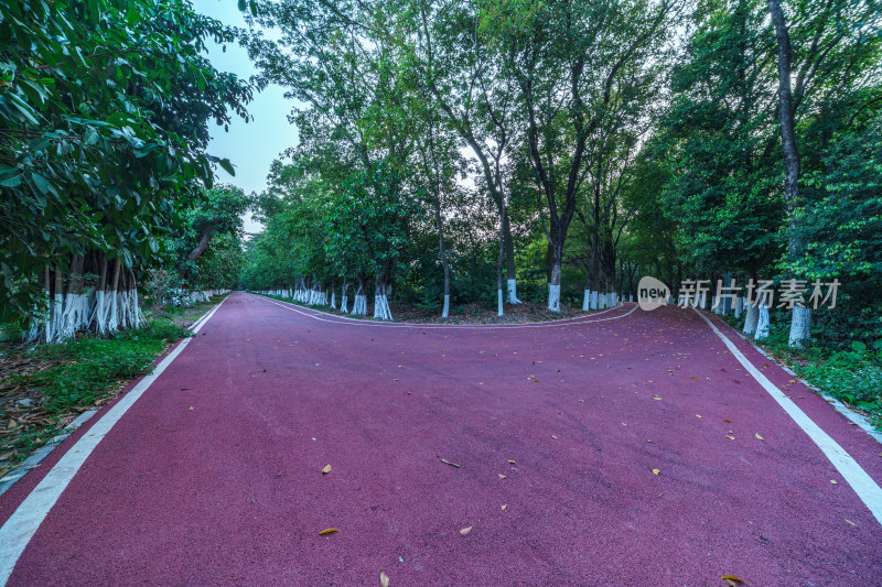 广州番禺大夫山森林公园树林红色景观跑道