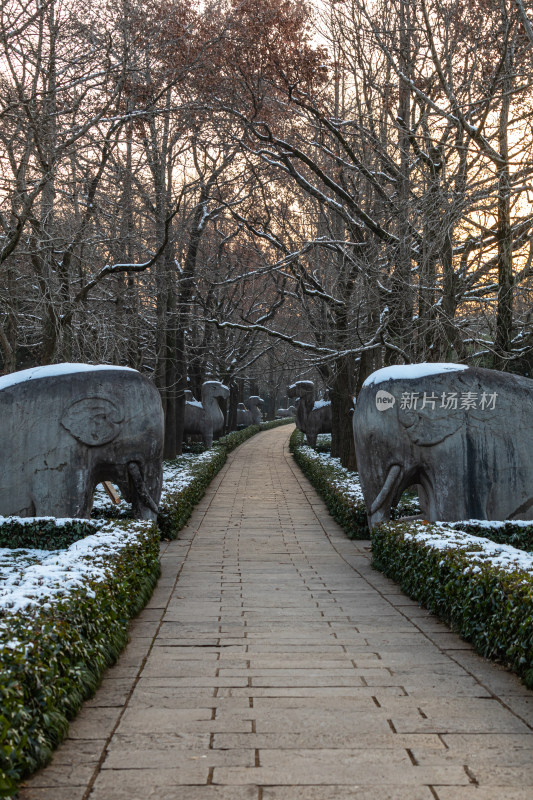 南京明孝陵石象路神道雪景