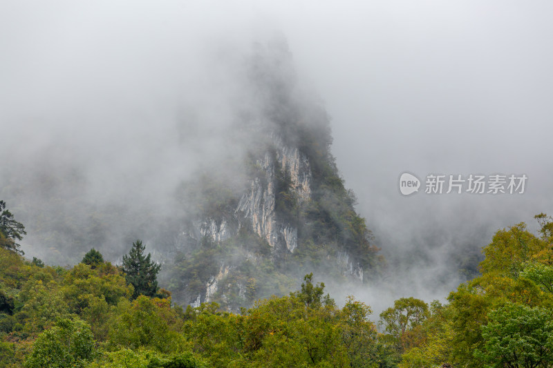 秋天树林云雾山峰