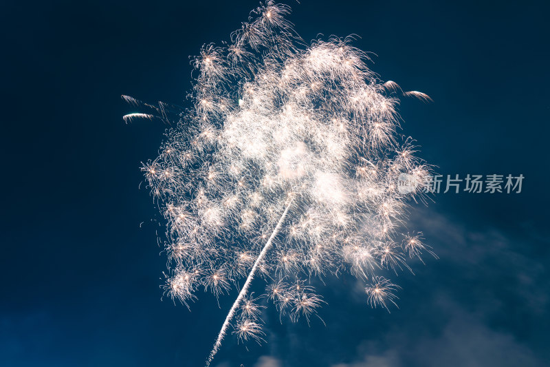 春节烟花绽放夜空