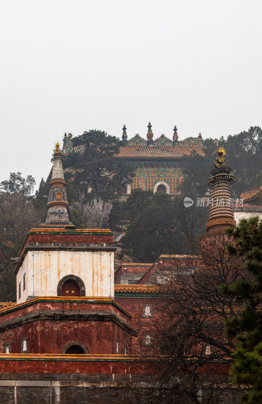 北京颐和园四大部洲景点景观