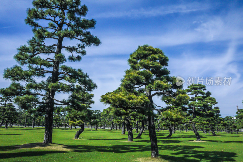 日本东京皇居二重桥