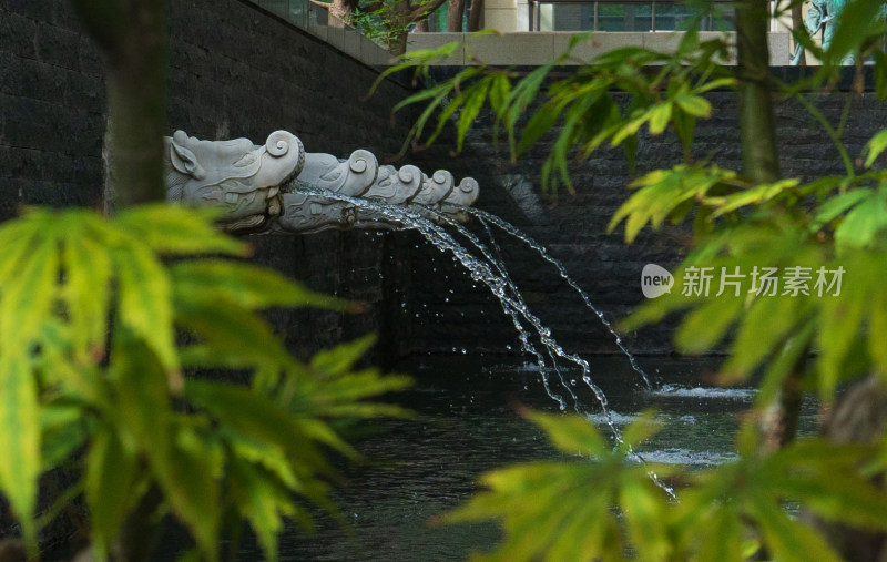 园林中石雕龙头吐水的景象