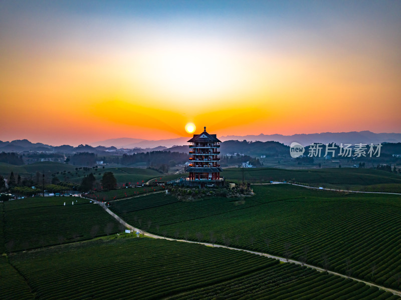 贵州遵义湄潭茶海