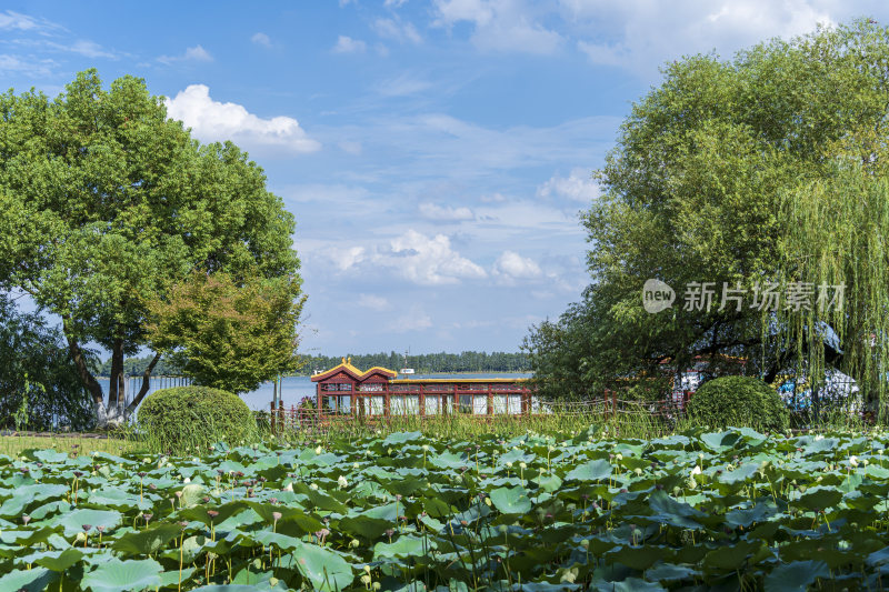 武汉东湖风景区楚风园景点