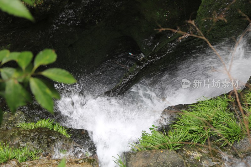 溪流 山间 森林