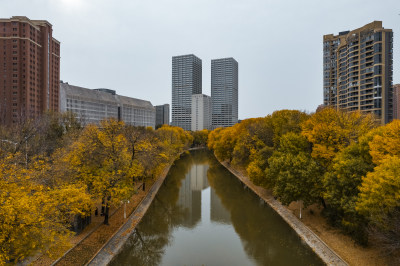 天津运河天子津渡公园秋季景色城市风光