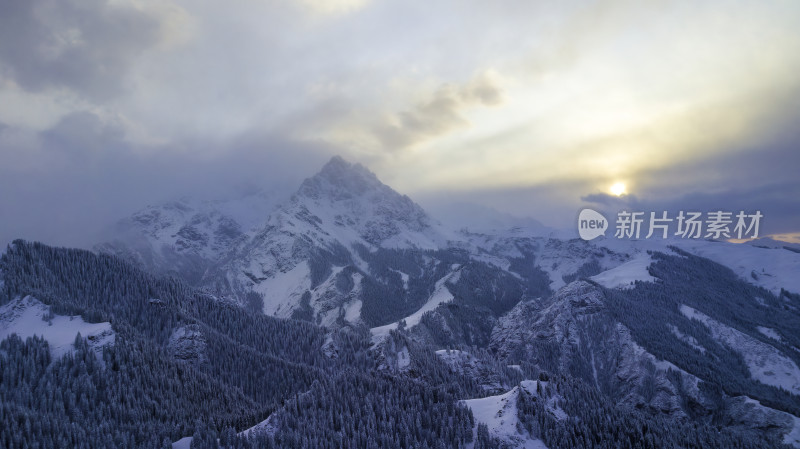 雪山云海间被雪覆盖的森林景观