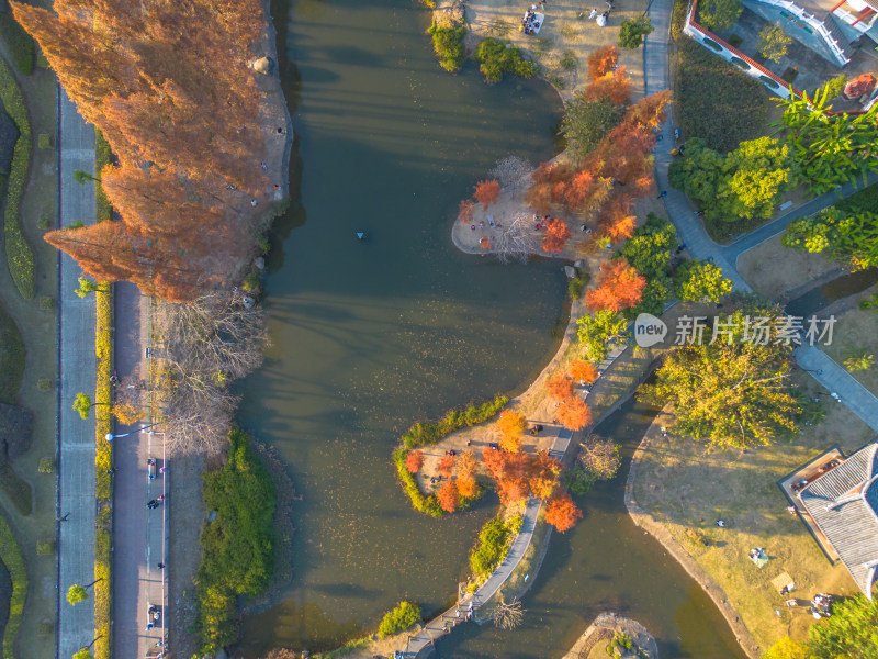 福州城市中色彩斑斓的树林全景