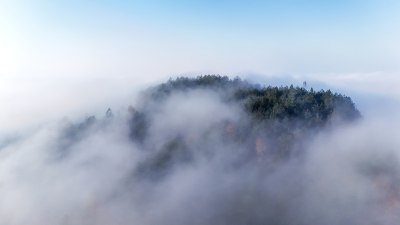 贵州沿河：红花盖下雾正浓