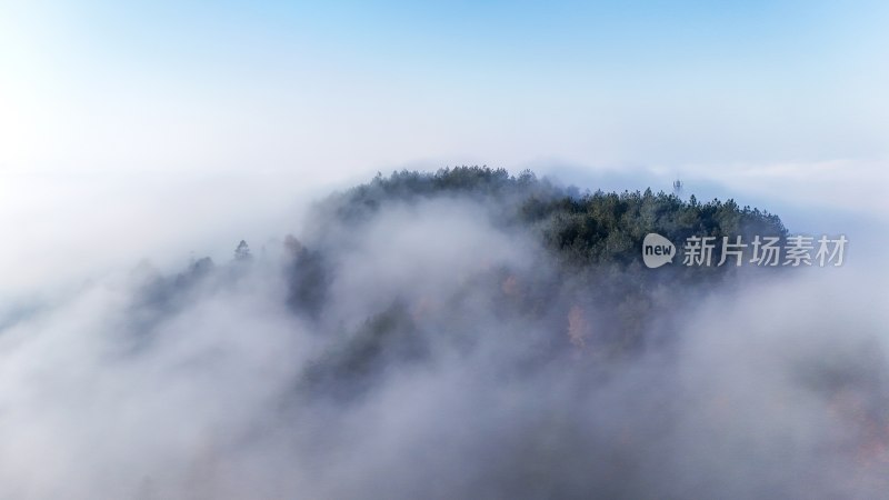 贵州沿河：红花盖下雾正浓