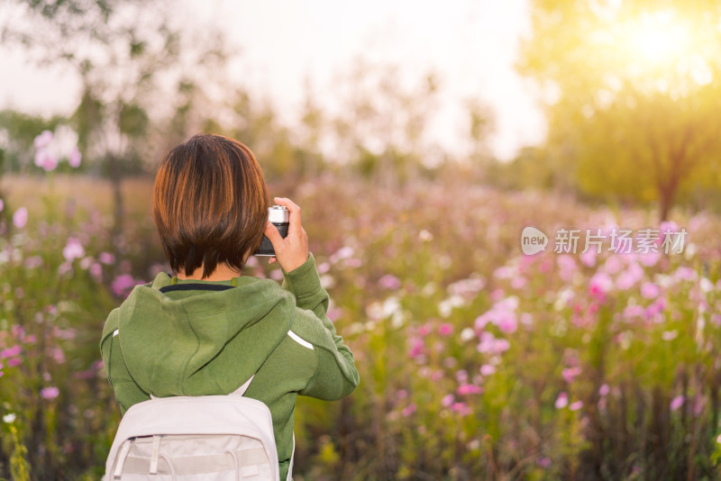 站在花丛中摄影的中国籍女性背影