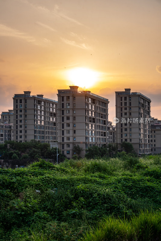 夏天的邹城孟子湖湿地湖泊自然景观