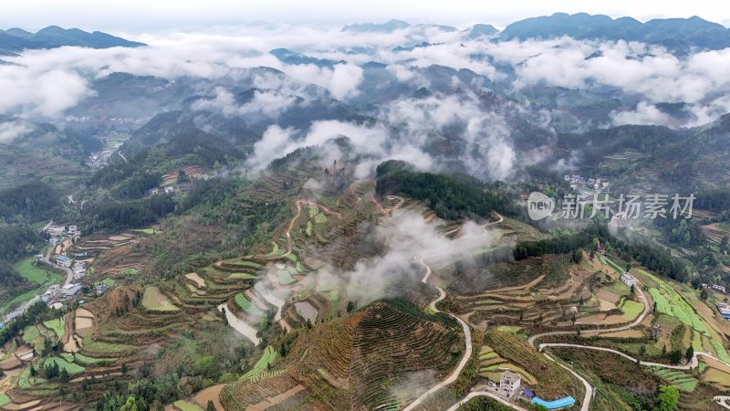 重庆酉阳：青山雾漫别样美