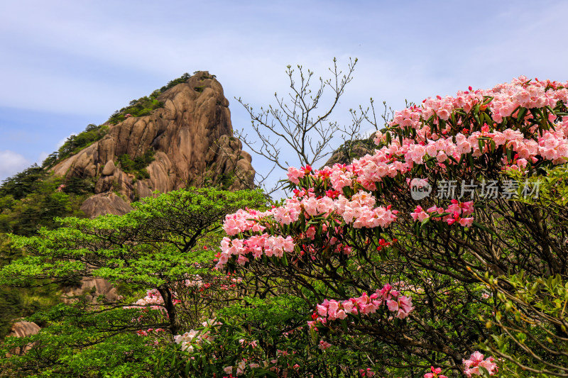 黄山登高自然风光