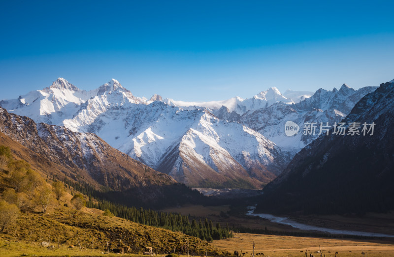 新疆夏塔雪山草原山水自然风景