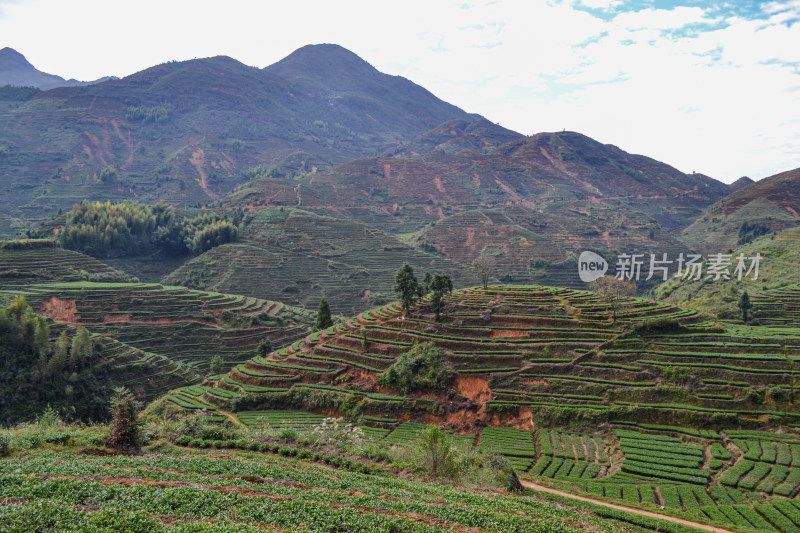 山林间的全景