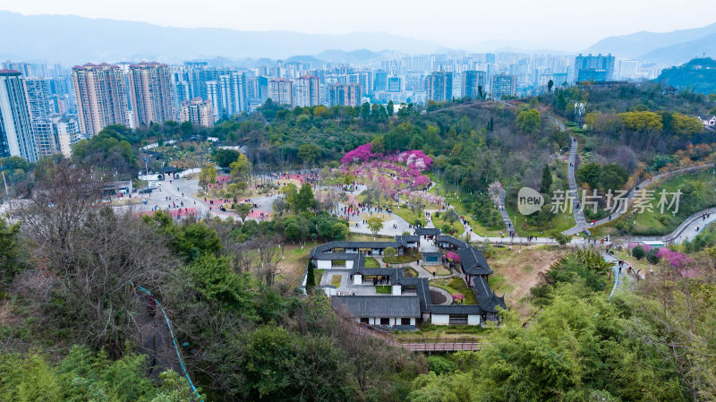 赏樱人群置身烂漫花海