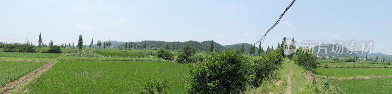 绿色田野与远处山峦风景