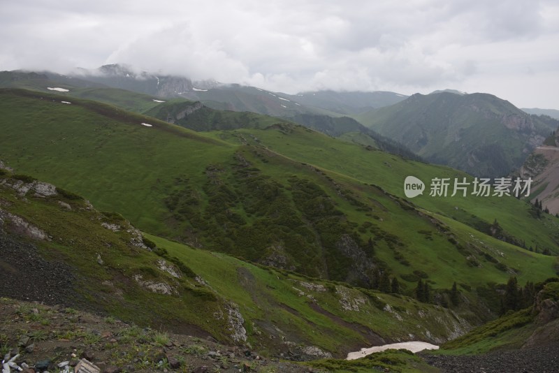 昭苏  新疆  草原  美景