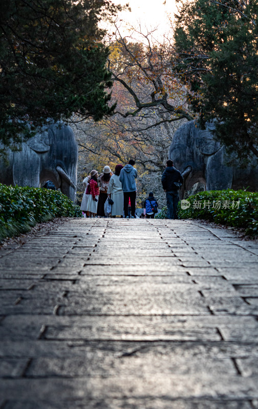 游客参观南京明孝陵石象路神道石像古迹场景