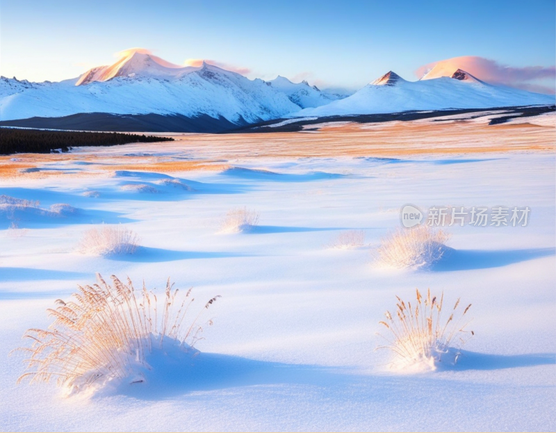 高山雪地