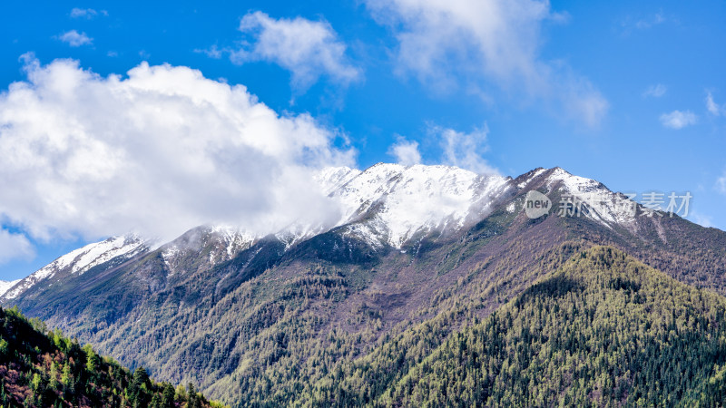 四川阿坝四姑娘山附近的雪山