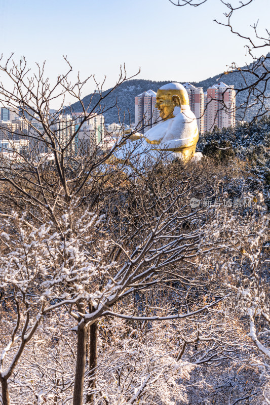 济南千佛山冬日雪景景观