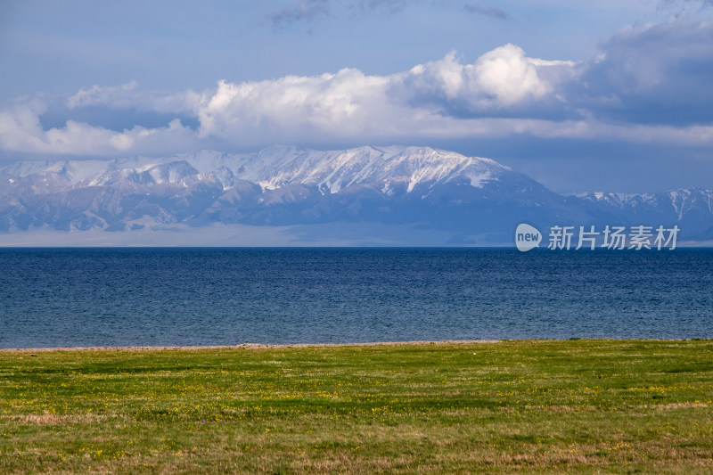 新疆赛里木湖蓝天白云雪山湖泊草原绝美风光