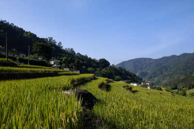 山间梯田村庄美景