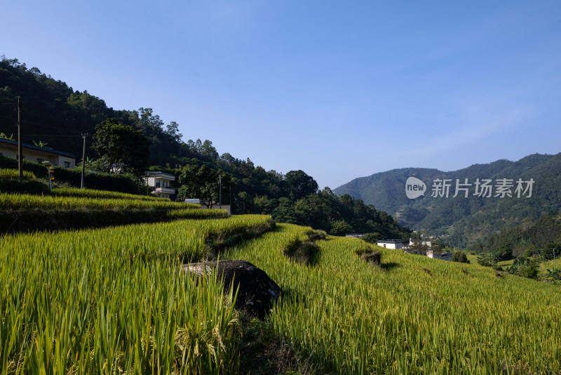 山间梯田村庄美景