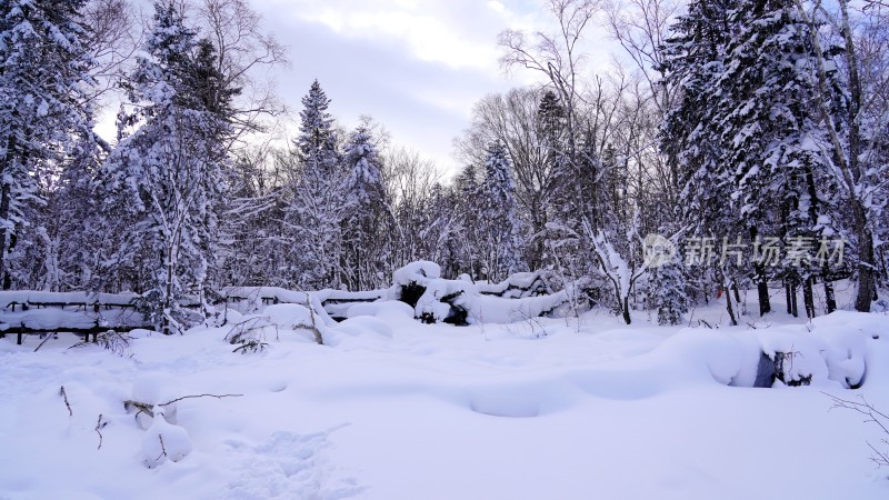 林海雪原