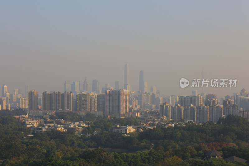 城市建筑群与绿植景观