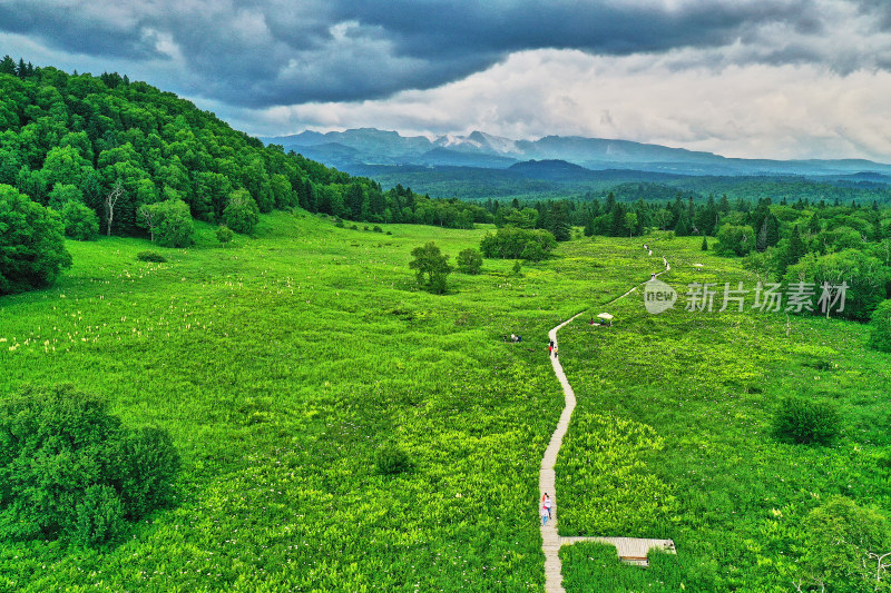 长白山高山花园王池风光