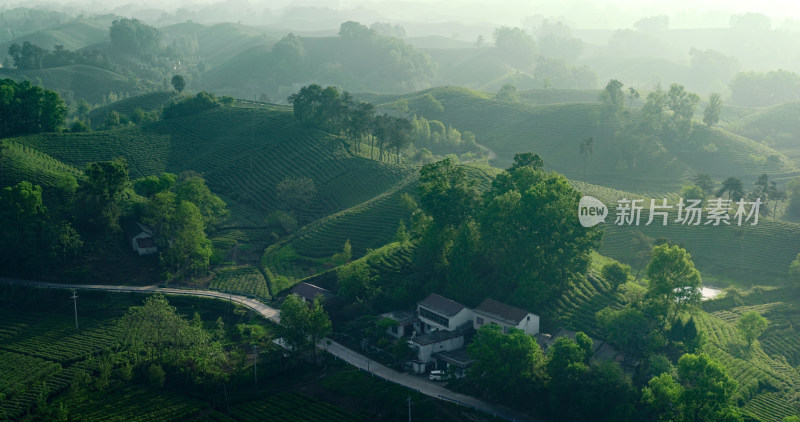 茶园茶山美丽乡村