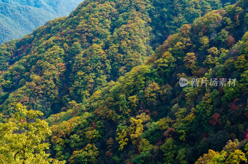 河南洛阳白云山秋季的山坡风光