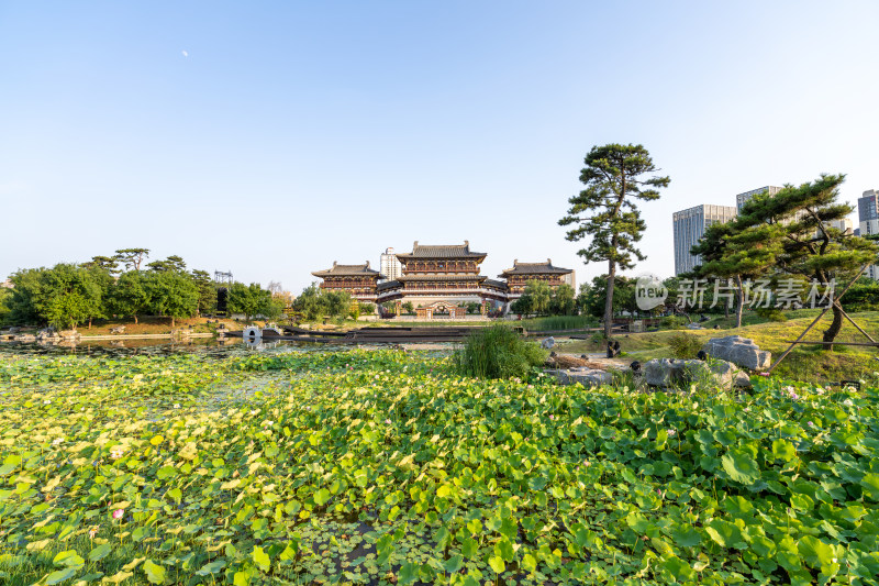 河南洛阳隋唐九洲池