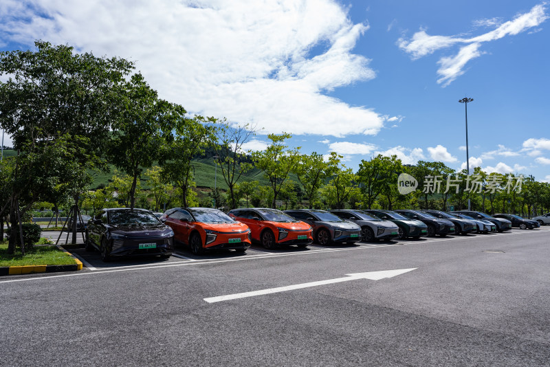 户外停车场上整齐排列的一排汽车