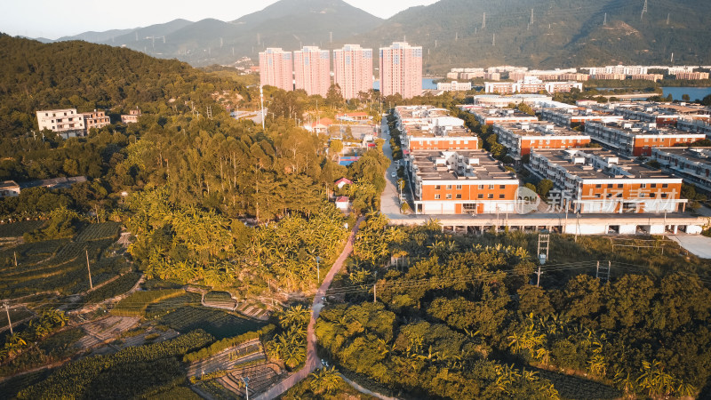 仰恩大学