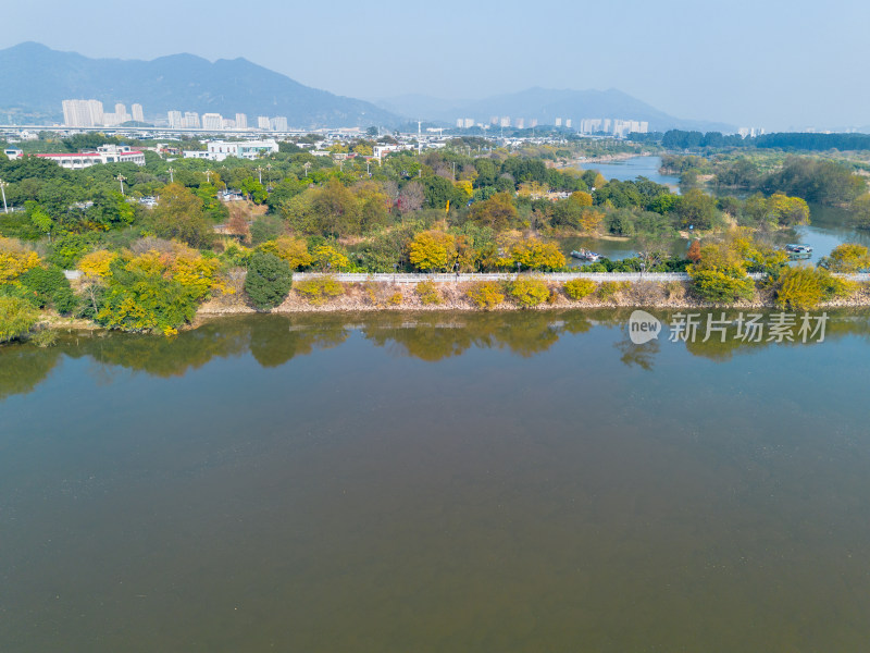 福州多彩树林沿水域分布的自然风景航拍